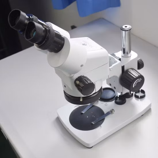 4 pares Bc CCA Cat5e CAT6 CAT6A Cat7 Cat8 LAN Patch Cord